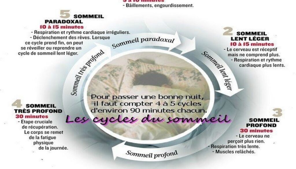 les-cycles-du-sommeil