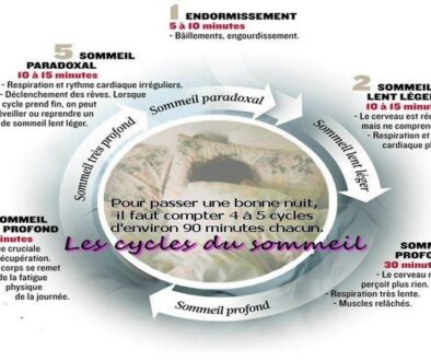 les-cycles-du-sommeil