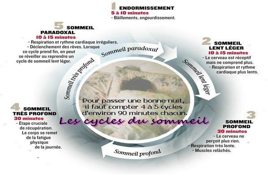les-cycles-du-sommeil